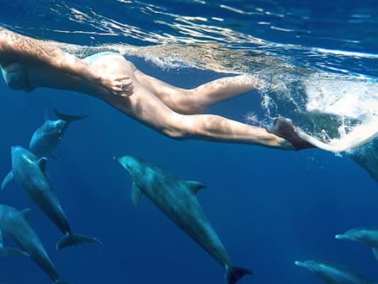 Jour 5: Activité Nage avec les Dauphins