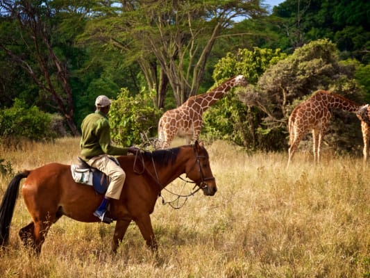 Visite de Nairobi et Zanzibar: Récit de mon séjour