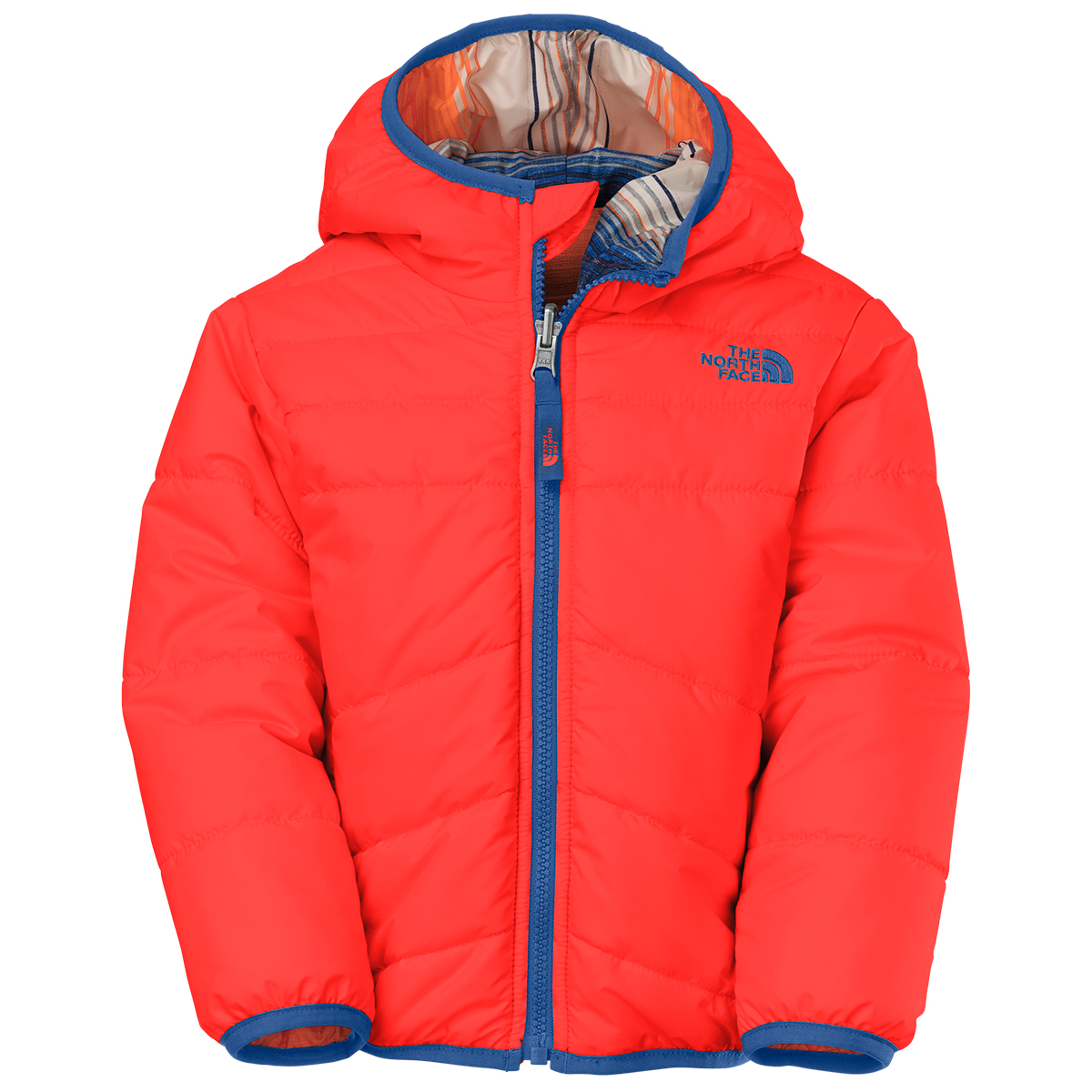 North face sale perrito toddler boy