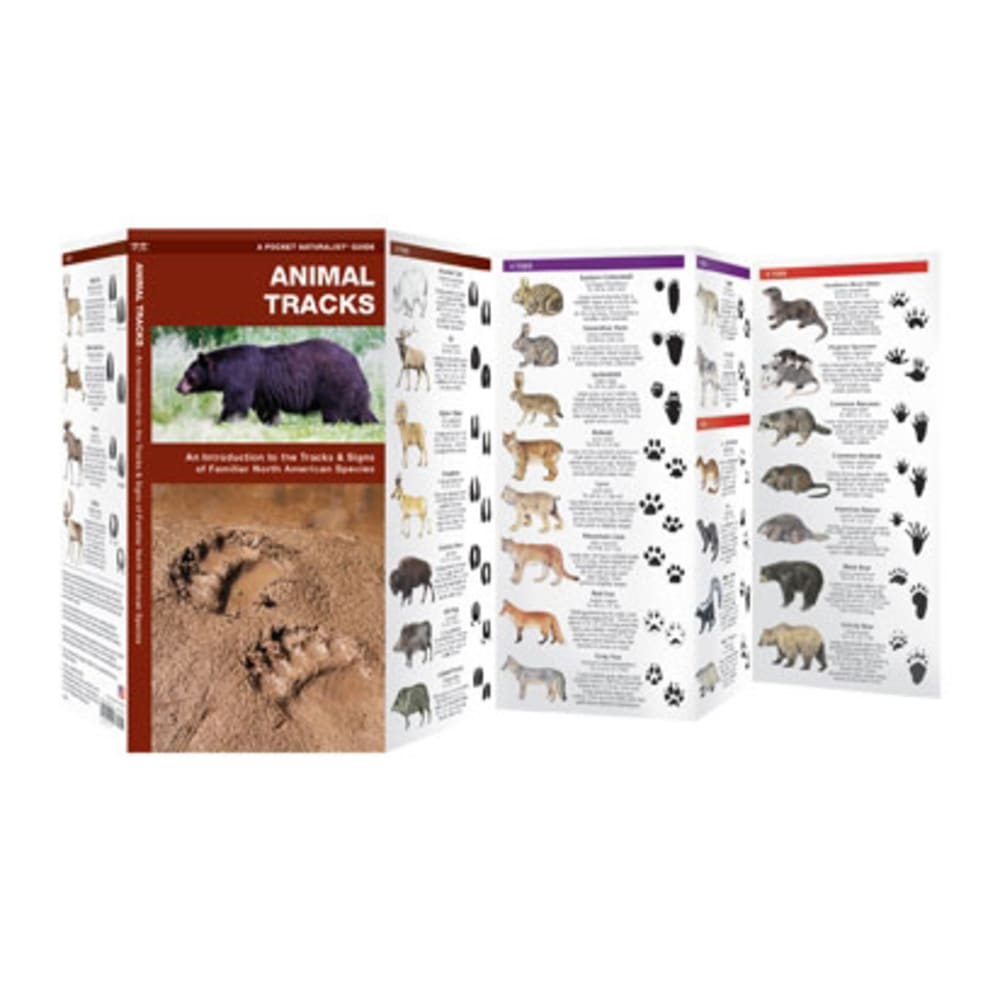 Animal Tracks NA