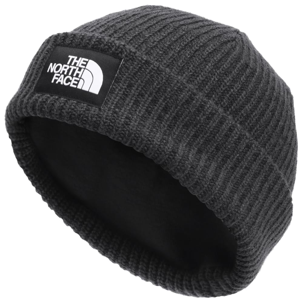 THE NORTH FACE Men's Salty Dog Beanie - Eastern Mountain Sports