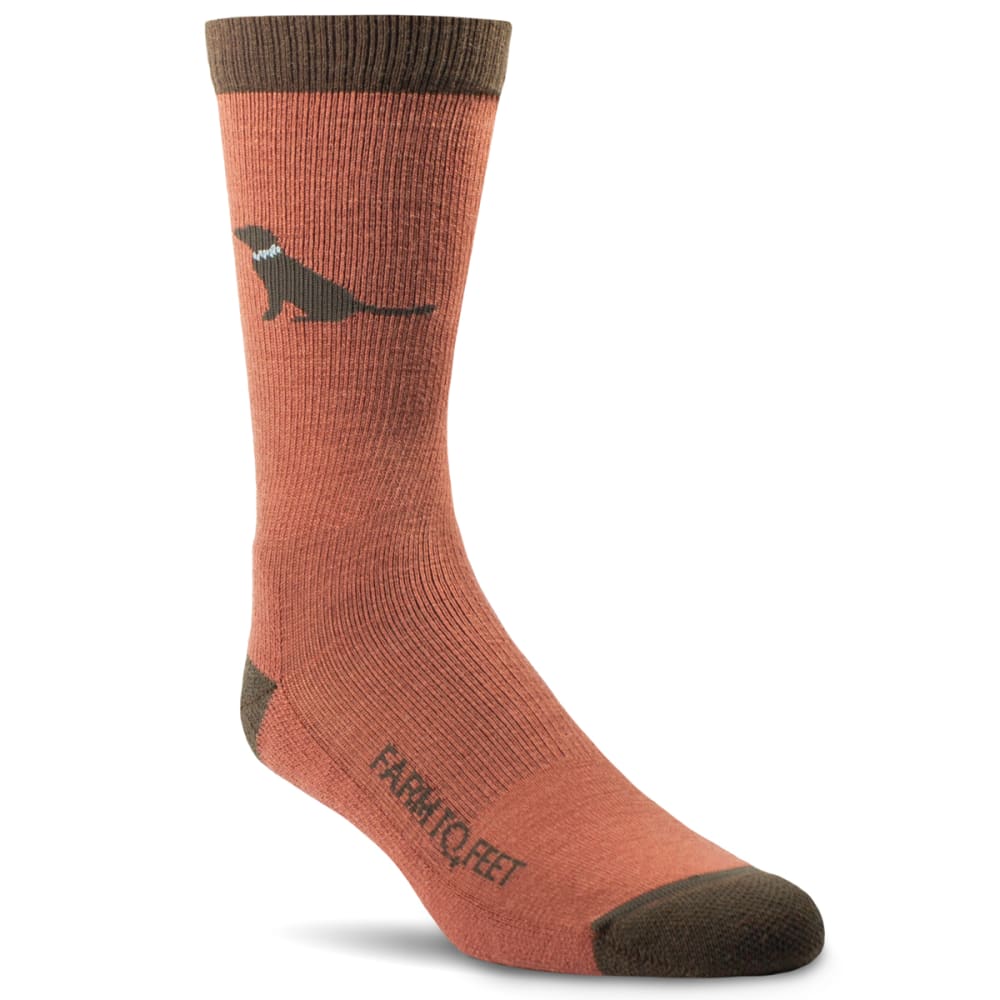 FARM TO FEET Men's Sunderland All Season Merino Wool Crew Socks M