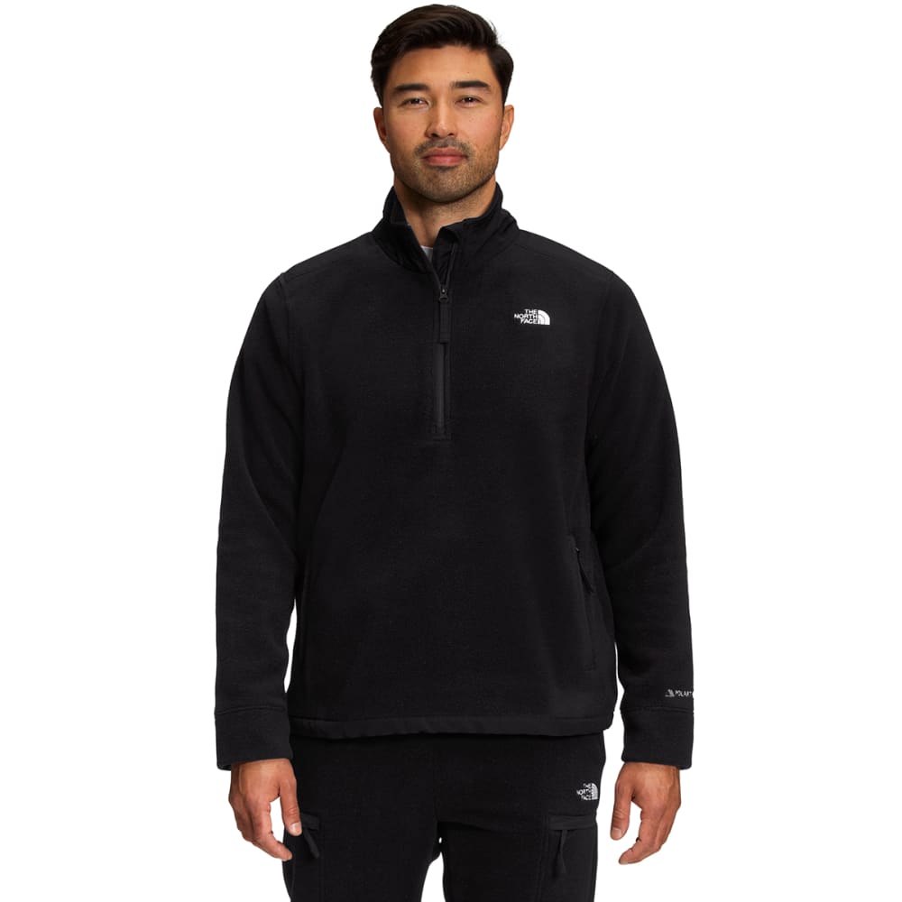 THE NORTH FACE Men's Alpine Polartec 200 Full-Zip Hooded Jacket - Eastern  Mountain Sports