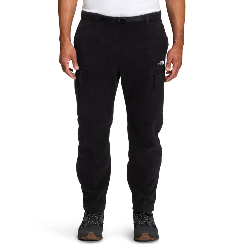 THE NORTH FACE Men's Alpine Polartec 200 Pants - Eastern Mountain Sports