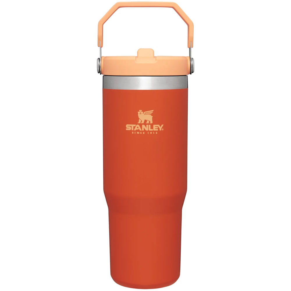 STANLEY The IceFlow 30 oz Flip Straw Tumbler - Eastern Mountain Sports