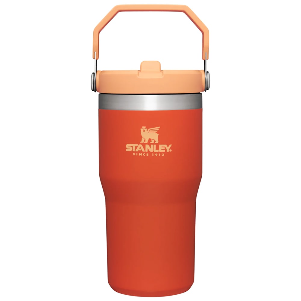 Stanley Wild Imagination IceFlow Flip Straw Tumbler 20oz Iris Cub