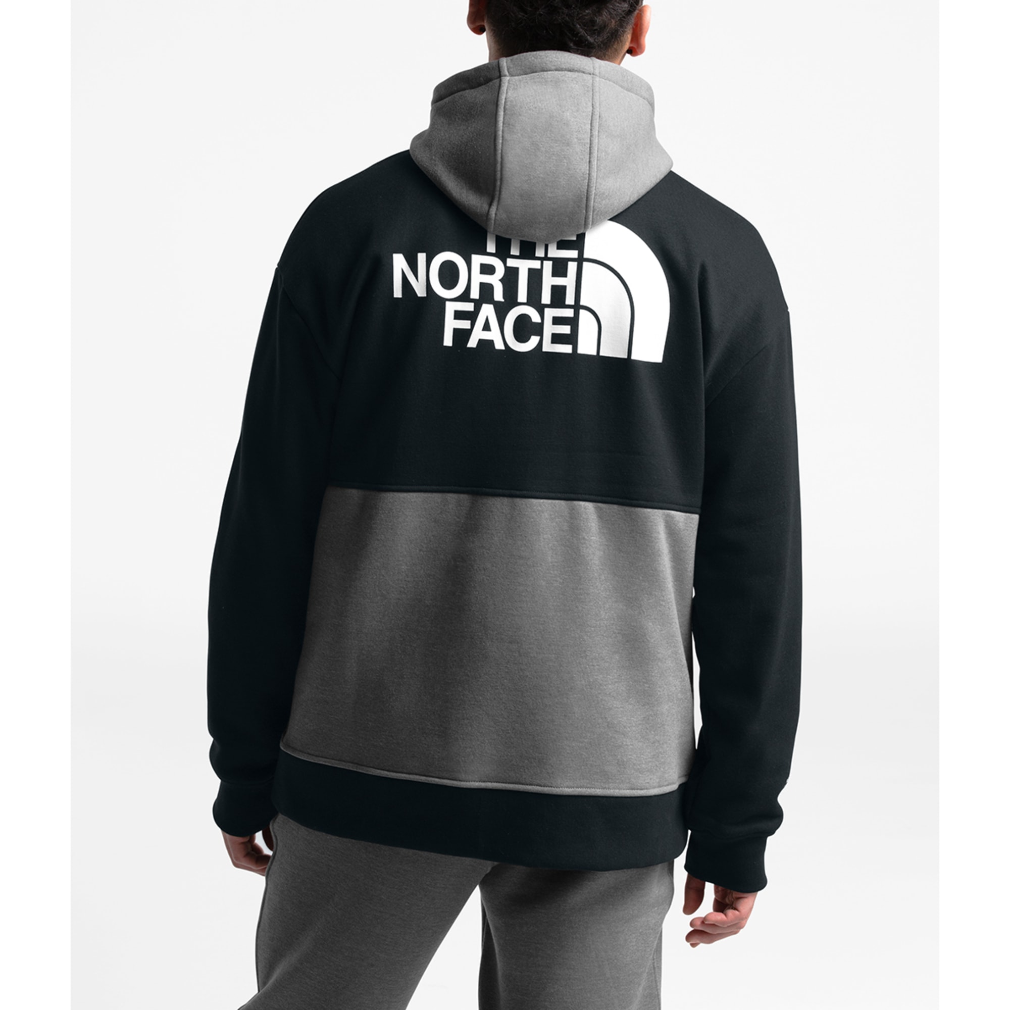 THE NORTH FACE Men's Graphic Collection Full-Zip Hoodie