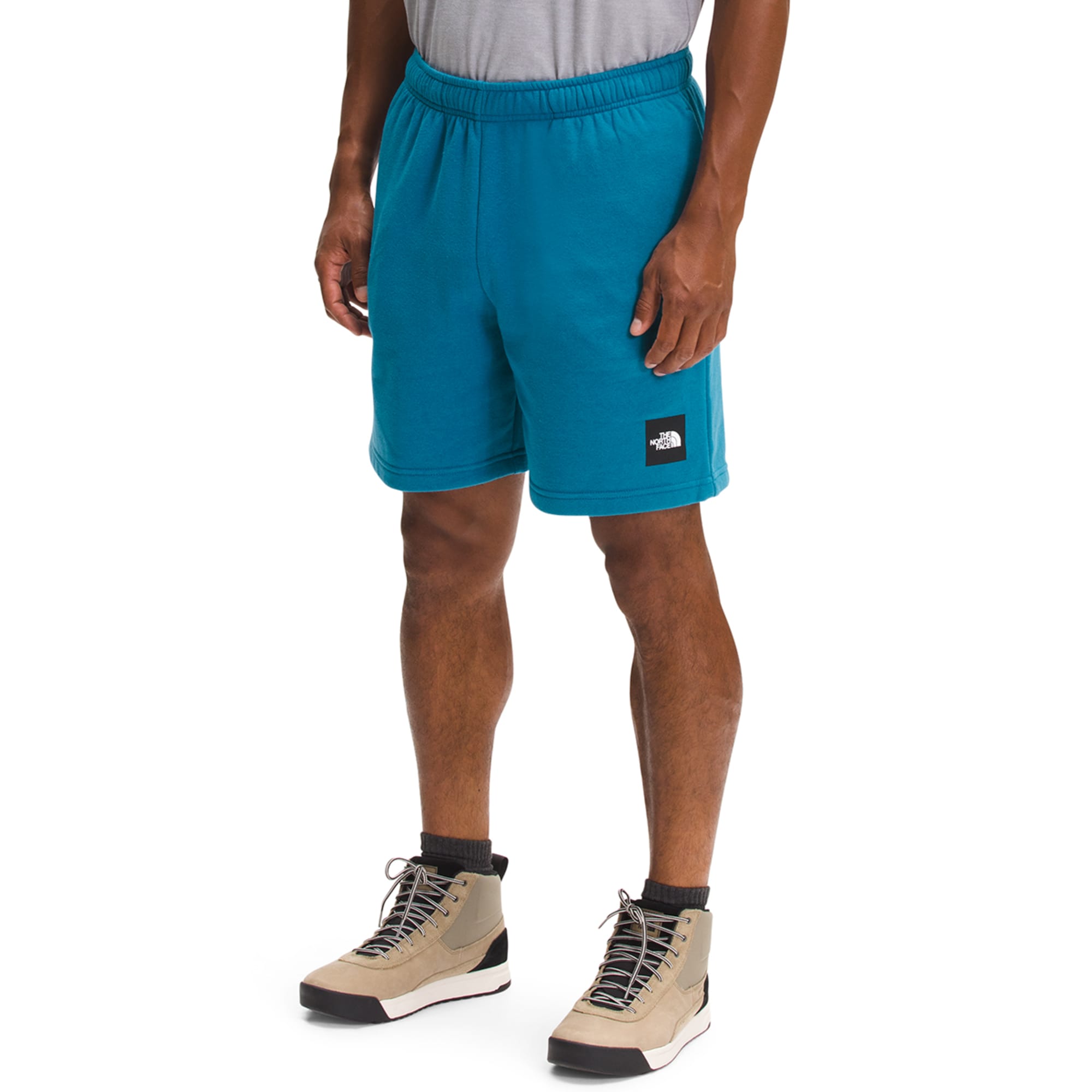 THE NORTH FACE Men's Never Stop Shorts - Eastern Mountain Sports