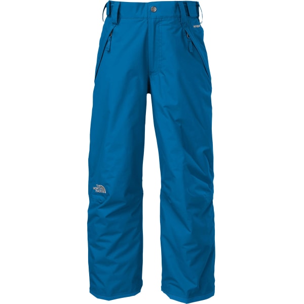 THE NORTH FACE Boys' Freedom Insulated Pants