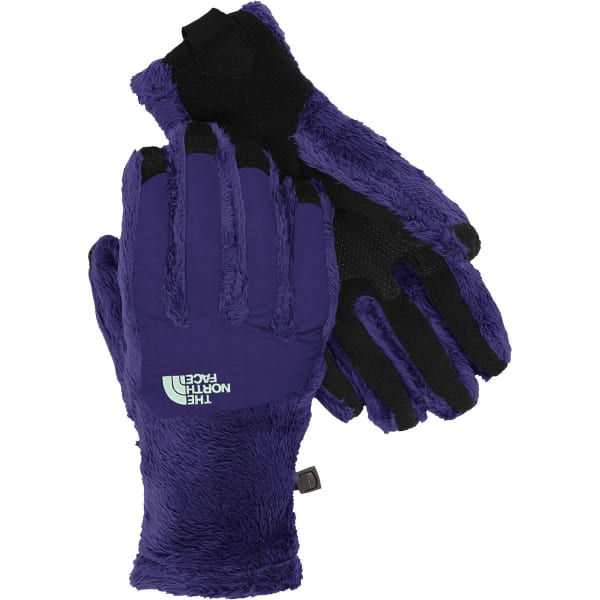 THE NORTH FACE Women's Denali Thermal Etip Fleece Gloves