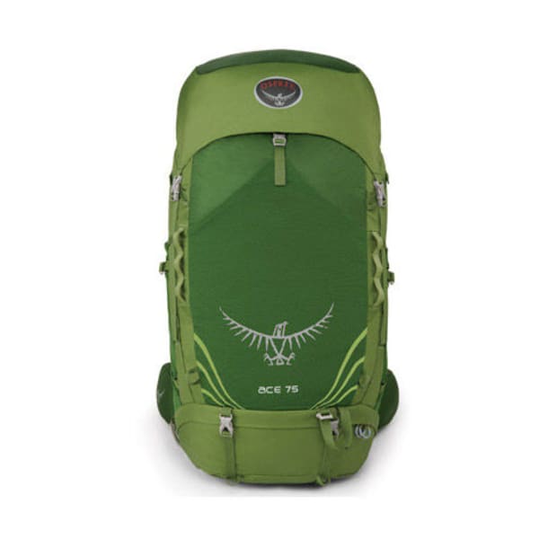 Osprey Kids' Ace 75 Backpack, Men's, Green