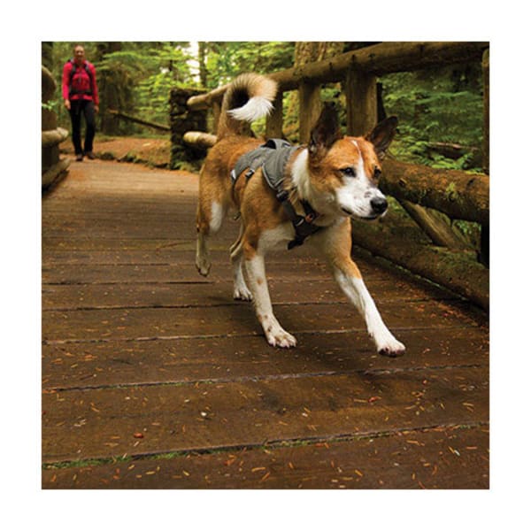 RUFFWEAR Web Master Harness