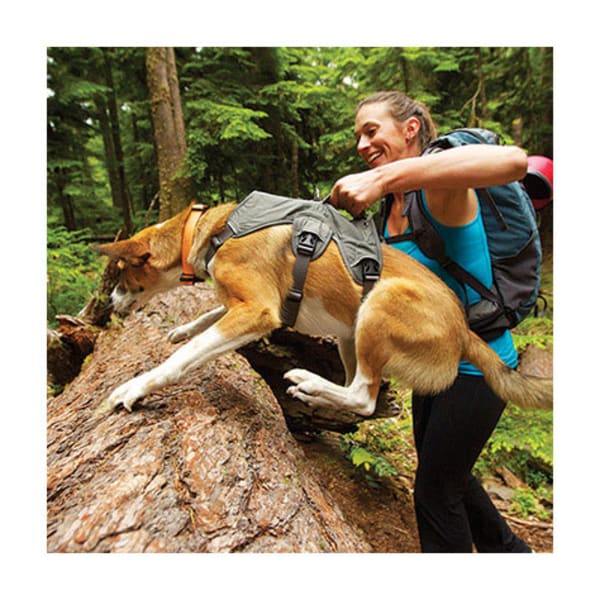 RUFFWEAR Web Master Harness - Eastern Mountain Sports