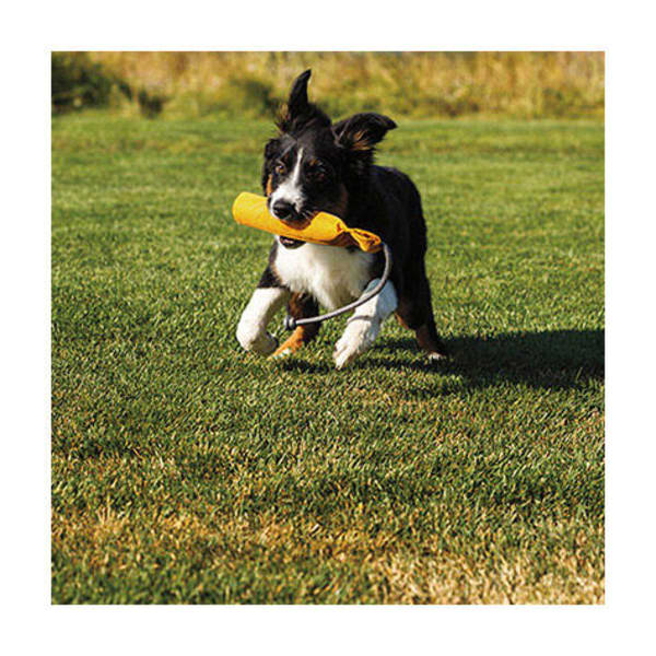 RUFFWEAR Lunker Dog Toy