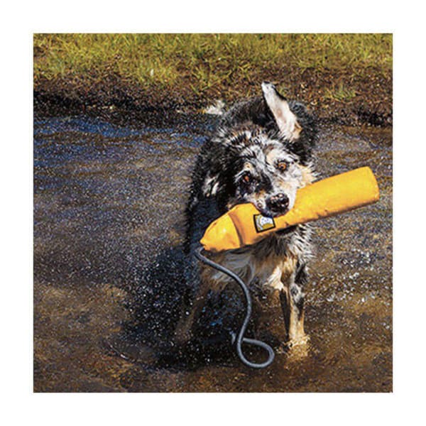 RUFFWEAR Lunker Dog Toy