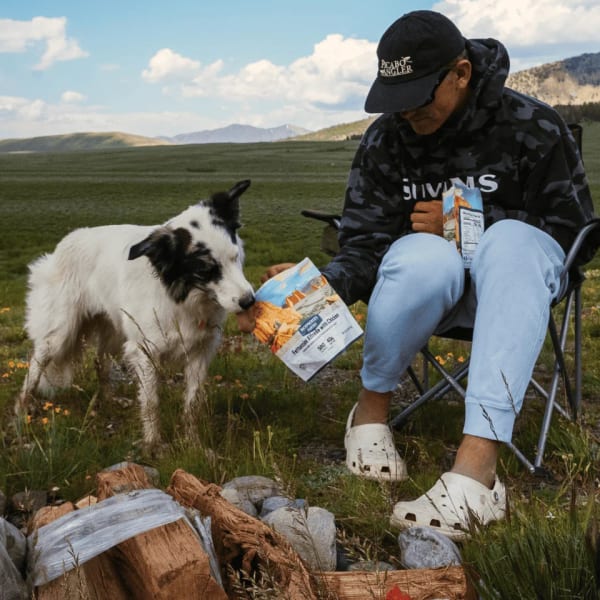 BACKPACKER'S PANTRY Fettuccini and Chicken