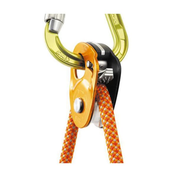 petzl mini traxion