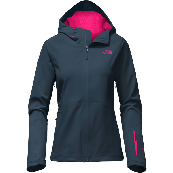 THE NORTH FACE Women's Apex Flex GTX Jacket