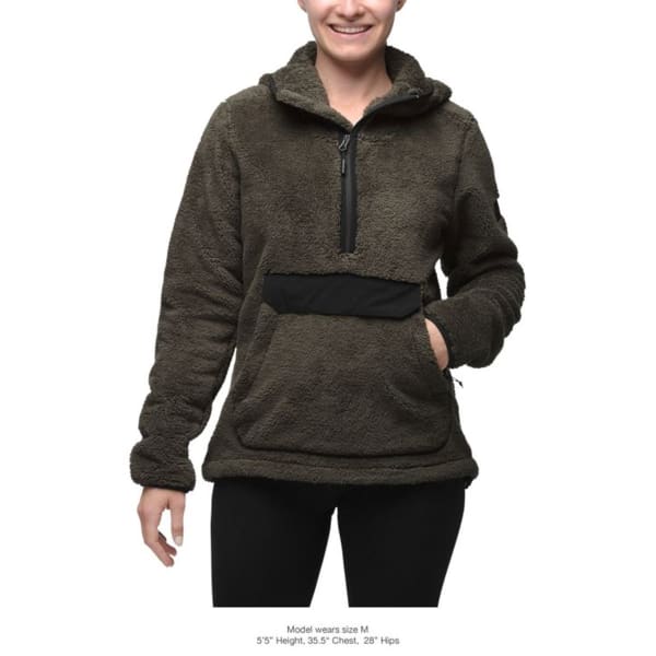 THE NORTH FACE Women's Campshire Pullover Hoodie