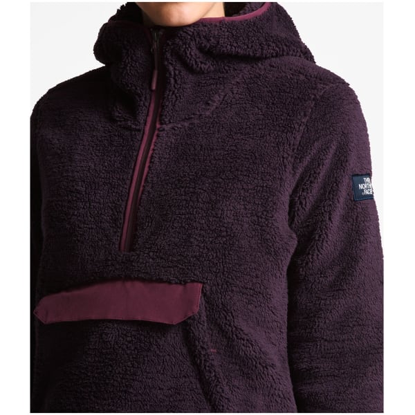 THE NORTH FACE Women's Campshire Pullover Hoodie