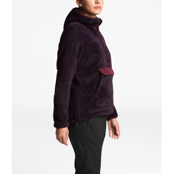 THE NORTH FACE Women's Campshire Pullover Hoodie