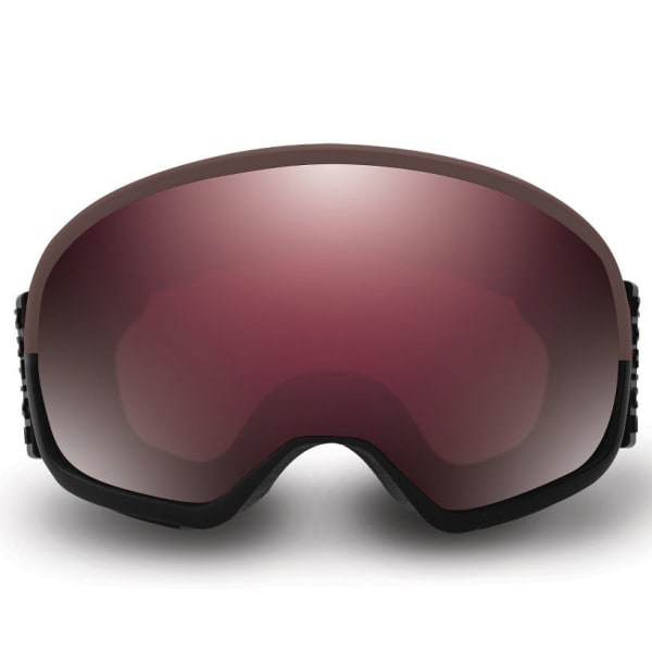 NATIVE EYEWEAR Tank7 Goggles, Kickplate/SnowTuned Silver