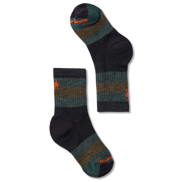 SMARTWOOL Kids' Striped Hike Medium Crew Socks