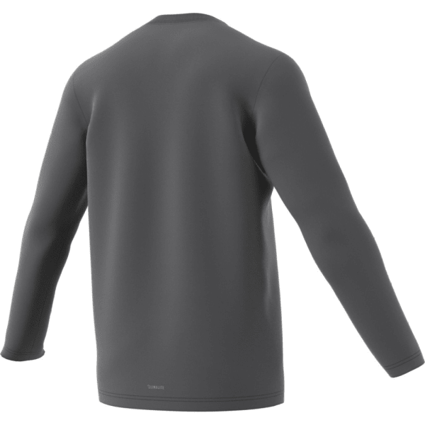 ADIDAS Men's Terrex Logo Long Sleeve Tee