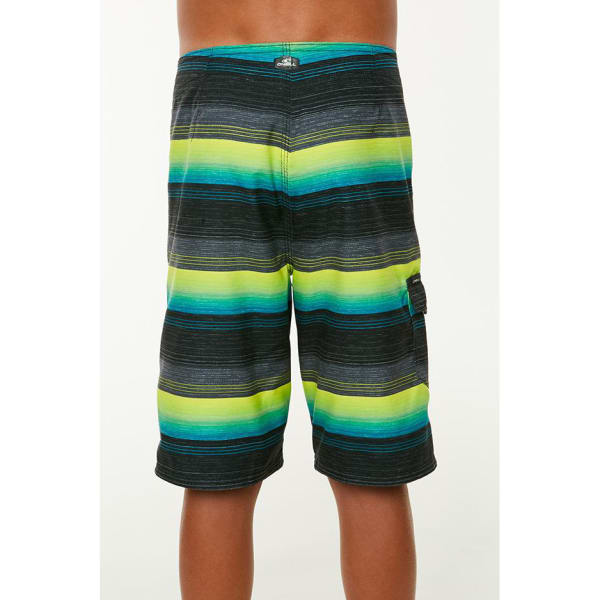 O'NEILL Big Boys' Santa Cruz Stripe Boardshorts