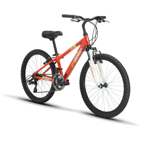 DIAMONDBACK Kids' Octane 24 Bike