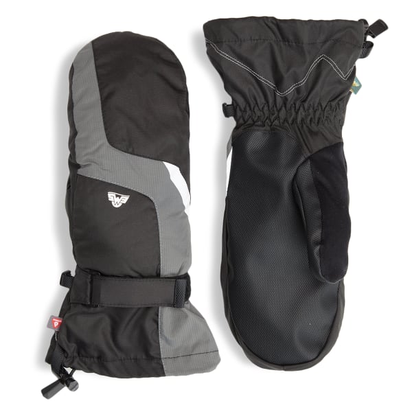 EMS Men's Altitude 3-in-1 Mittens