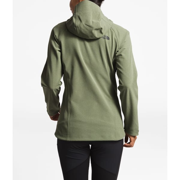 THE NORTH FACE Women's Apex Flex GTX 3.0 Jacket