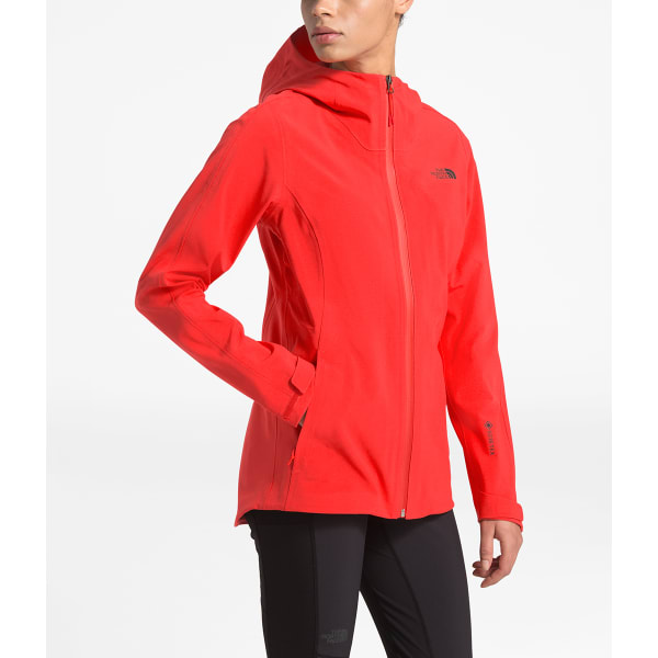 THE NORTH FACE Women's Apex Flex GTX 3.0 Jacket