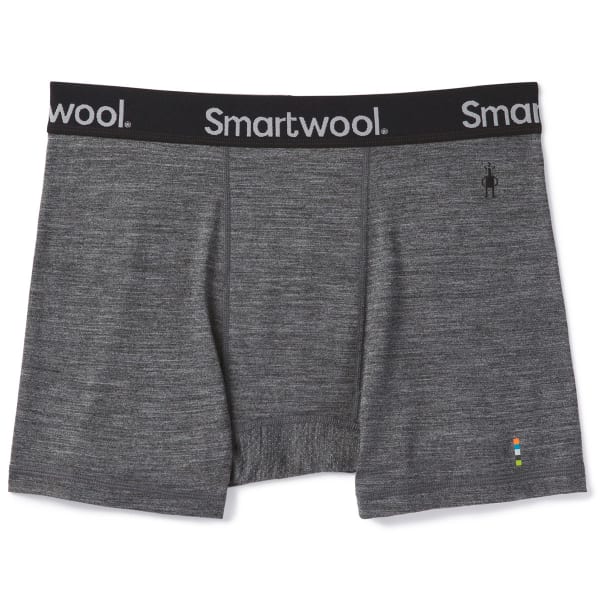 SMARTWOOL Men's Merino Sport 150 Boxer Briefs - Eastern Mountain Sports