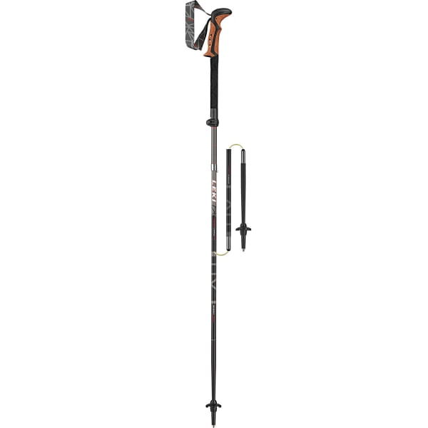 LEKI Micro Vario Cor-Tec Pole