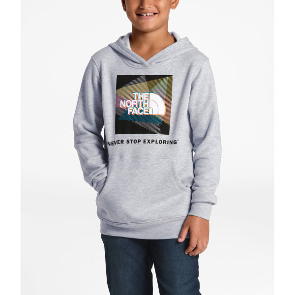 THE NORTH FACE Boys' Logowear Pullover Hoodie