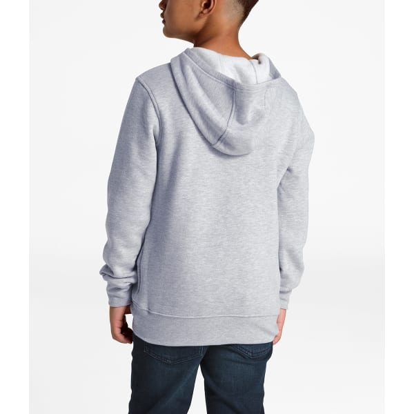 THE NORTH FACE Boys' Logowear Pullover Hoodie