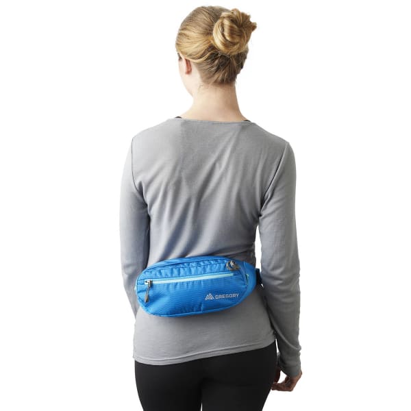 GREGORY Nano Mini Waistpack