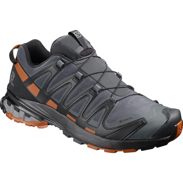 SALOMON Men's XA Pro 3D V8 GTX Trail Running Shoe