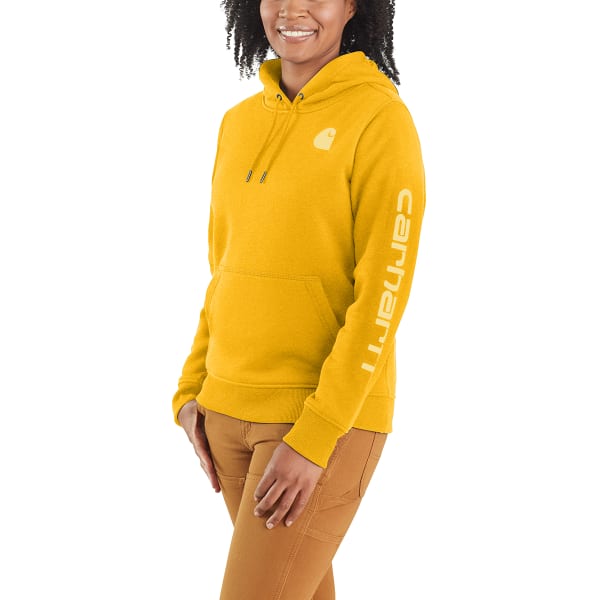 CARHARTT Women's Relaxed Fit Midweight Graphic Sweatshirt - Eastern  Mountain Sports