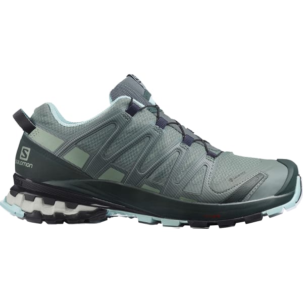 SALOMON Women's XA PRO 3D v8 GORE-TEX Trail Running Shoes