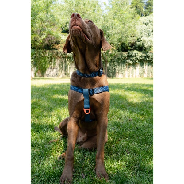 UNITED BY BLUE Woven Dog Harness