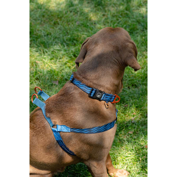 UNITED BY BLUE Woven Dog Harness