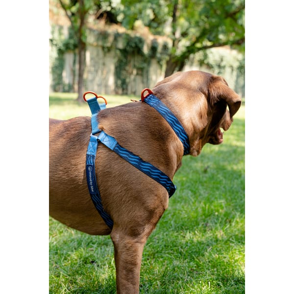 UNITED BY BLUE Woven Dog Harness