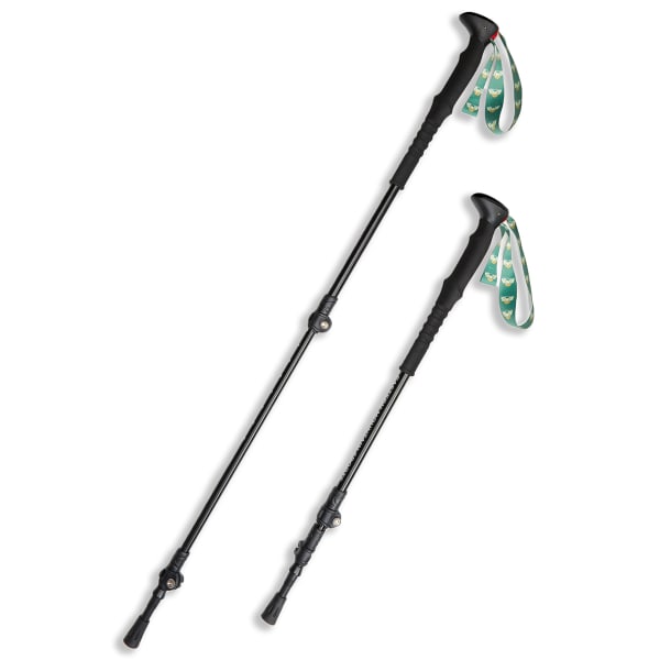 EMS Trekking Poles