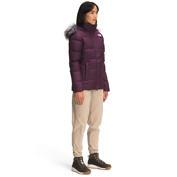 THE NORTH FACE Women’s Gotham Jacket