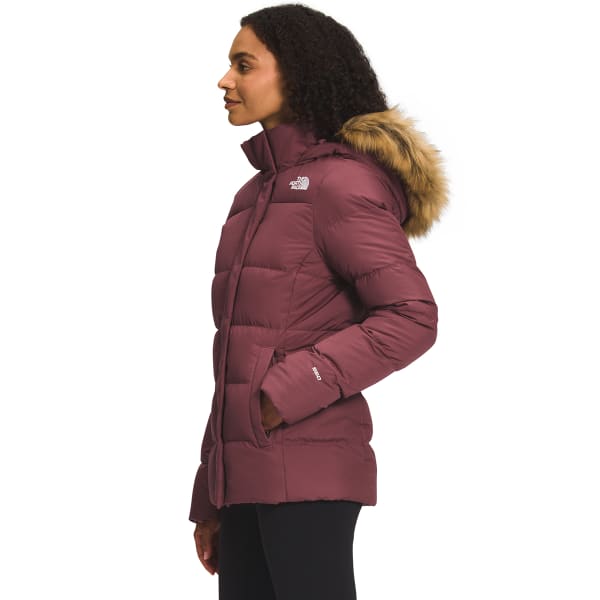 THE NORTH FACE Women’s Gotham Jacket