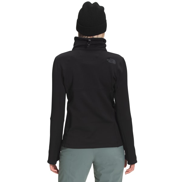 THE NORTH FACE Women’s Tagen 1/4-Zip Fleece