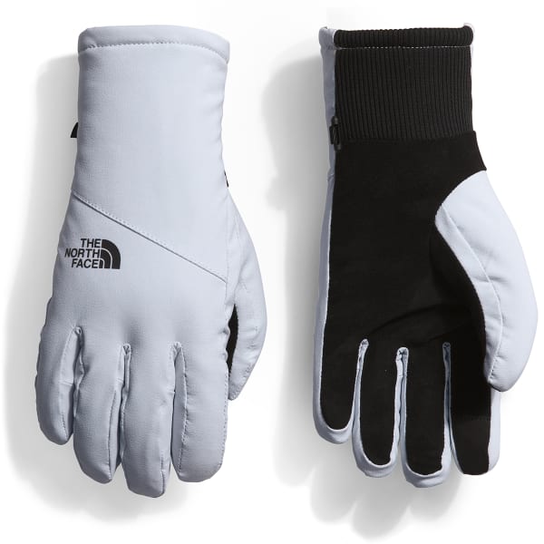 THE NORTH FACE Women’s Shelbe Raschel Etip Glove