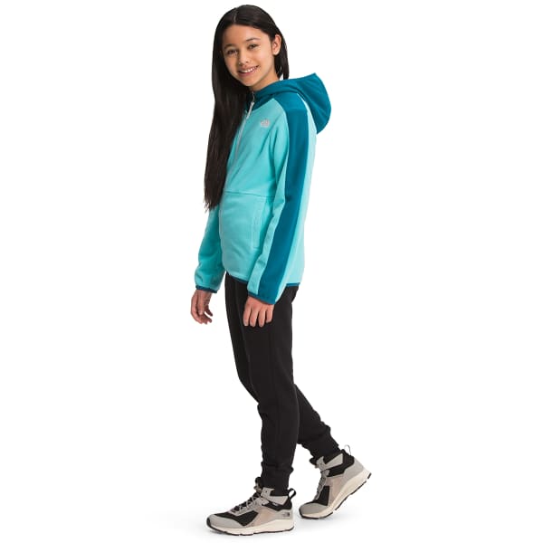 THE NORTH FACE Kids' Glacier Full Zip Hoodie